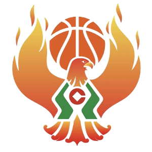 https://img.jnjigong.com/img/basketball/team/09b49d34027e0409a4de3295f8c71a2d.png