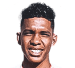 https://img.jnjigong.com/img/football/player/6e1493dc3877771941f21264dc1ec3aa.png