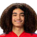 https://img.jnjigong.com/img/football/player/87359ed9061cfd73513d827263deebcd.png