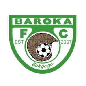 https://img.jnjigong.com/img/football/team/030c73dd81c413bfa319470af68169f0.png