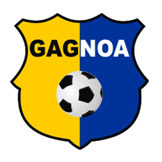 https://img.jnjigong.com/img/football/team/3b10ce31f9956325a4d6e45c00e0ddc6.png