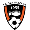 https://img.jnjigong.com/img/football/team/488370880779534e48b5b2d5243fb6f6.png