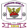 https://img.jnjigong.com/img/football/team/932b5935c18814cdb0e053b9691c20aa.png