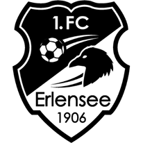 https://img.jnjigong.com/img/football/team/a23904e7205f9324e45c7fef24a620fd.png