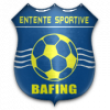 https://img.jnjigong.com/img/football/team/e87340e0732a9f94db6e6c7ad6c6cf30.png