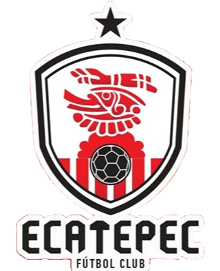 https://img.jnjigong.com/img/football/team/f8fefa1062b7f72982263757680421c0.png